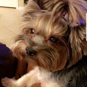 Meet your Posher, Jeff